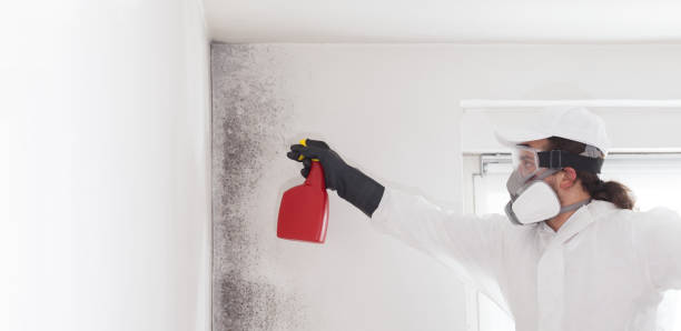 Best Home Mold Removal  in Beckett Ridge, OH